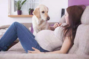 孕期养宠物的正确打开方式